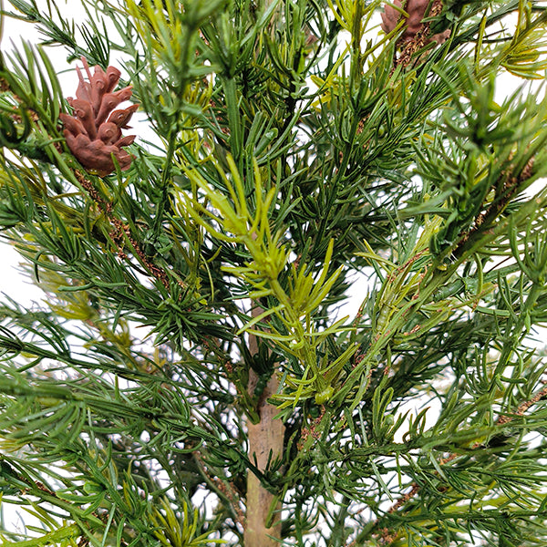 3' Pine Tree