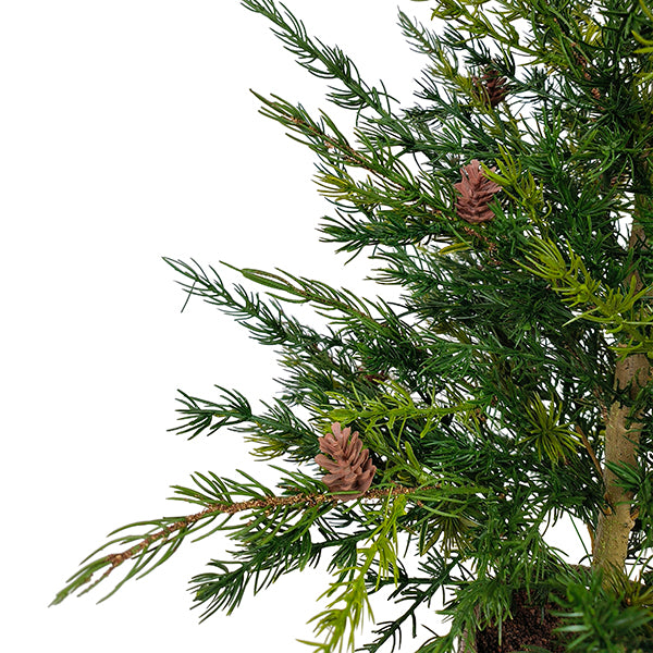 3' Pine Tree