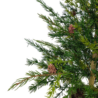 3' Pine Tree