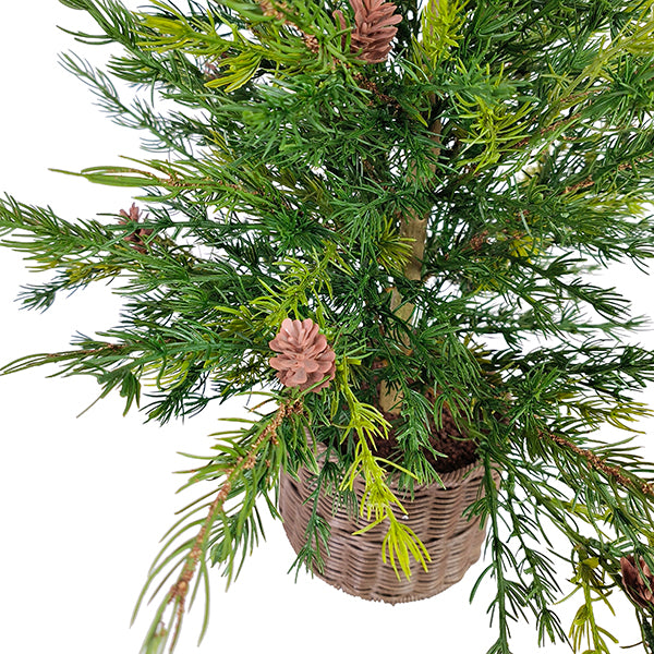 3' Pine Tree