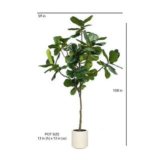 Potted plant with dimensions indicated on a white background