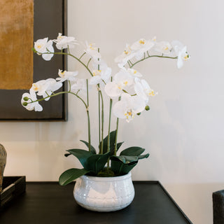 Elegant display of the CG Hunter Artificial 4-Stem Phalaenopsis White Orchid in a contemporary setting, showcasing its lifelike beauty and sophistication.