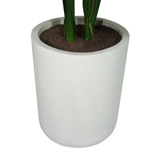 Stylish modern gray planter featuring a 4' Monstera plant by CG Hunter, designed to complement contemporary interiors and add a touch of sophistication.