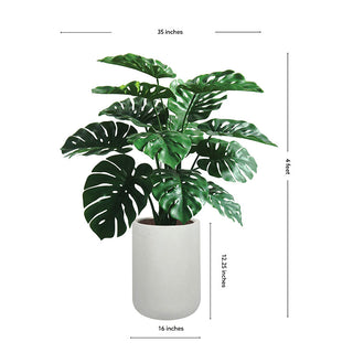 Dimensions of CG Hunter 4' Monstera Plant in Modern Gray Planter, detailing its height and width to showcase its impressive size in any sophisticated setting.