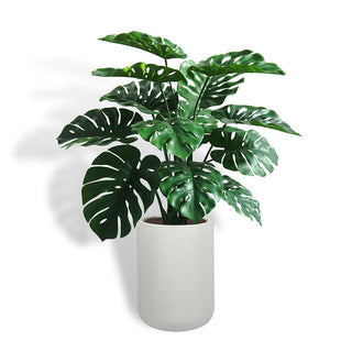 CG Hunter 4' Monstera Plant in Modern Gray Planter showcasing lush green leaves, ideal for adding a touch of tropical luxury to any interior space.