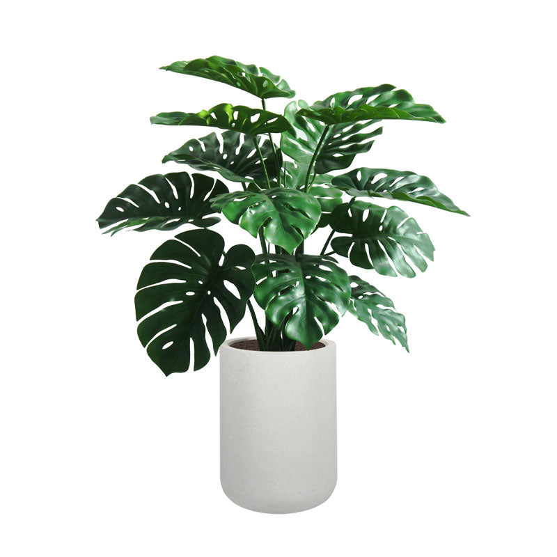 4' Monstera Plant in Modern Gray Planter