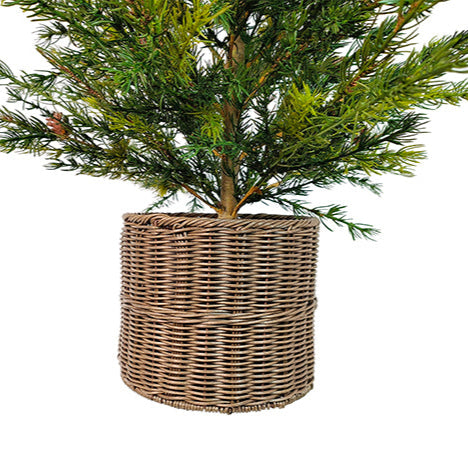 4' Pine Tree