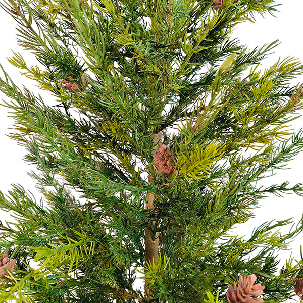4' Pine Tree