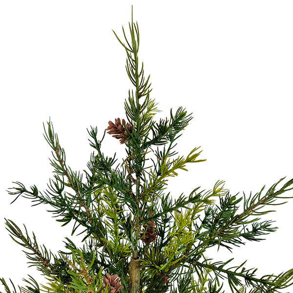 4' Pine Tree