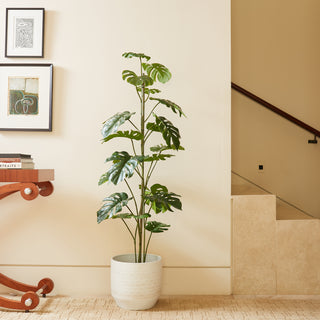 Elegant 5' Monstera Tree from CG Hunter featured in a stylish white planter, enhancing contemporary home decor with its realistic design.