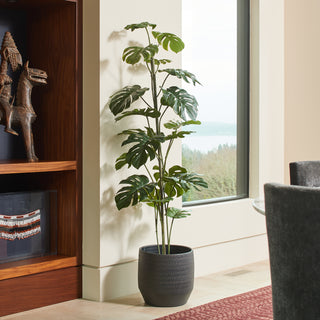 Sophisticated 5' Artificial Monstera Tree by CG Hunter, beautifully showcased in a textured gray planter within a refined living room setting.