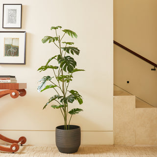 Sophisticated 5' Artificial Monstera Tree by CG Hunter in a sleek black pot, embodying modern aesthetics and hassle-free greenery for luxury interiors.