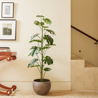 5' Artificial Monstera Tree by CG Hunter elegantly displayed in a contemporary interior, showcasing its lifelike foliage and sophisticated design.
