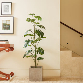 Chic 5' Monstera Tree by CG Hunter displayed in a contemporary concrete planter, adding a touch of sophistication to upscale living spaces.