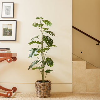 Luxurious 5' Artificial Monstera Tree by CG Hunter set in a woven basket, creating a warm and inviting ambiance in modern decor.