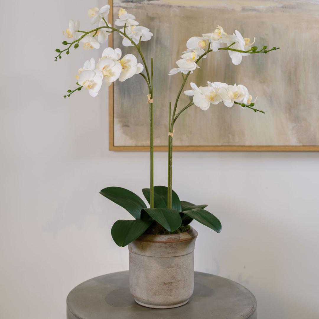 Artificial 2-Stem Phalaenopsis White Orchid