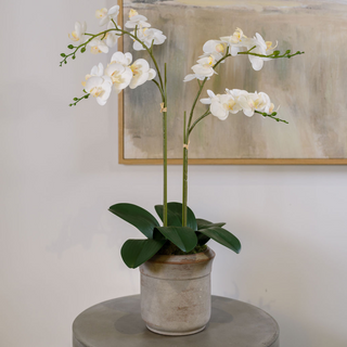 Stunning Artificial 2-Stem Phalaenopsis White Orchid by CG Hunter, showcased in a modern setting, perfect for adding a luxurious touch to any interior.