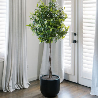 6' Artificial Laurel Tree