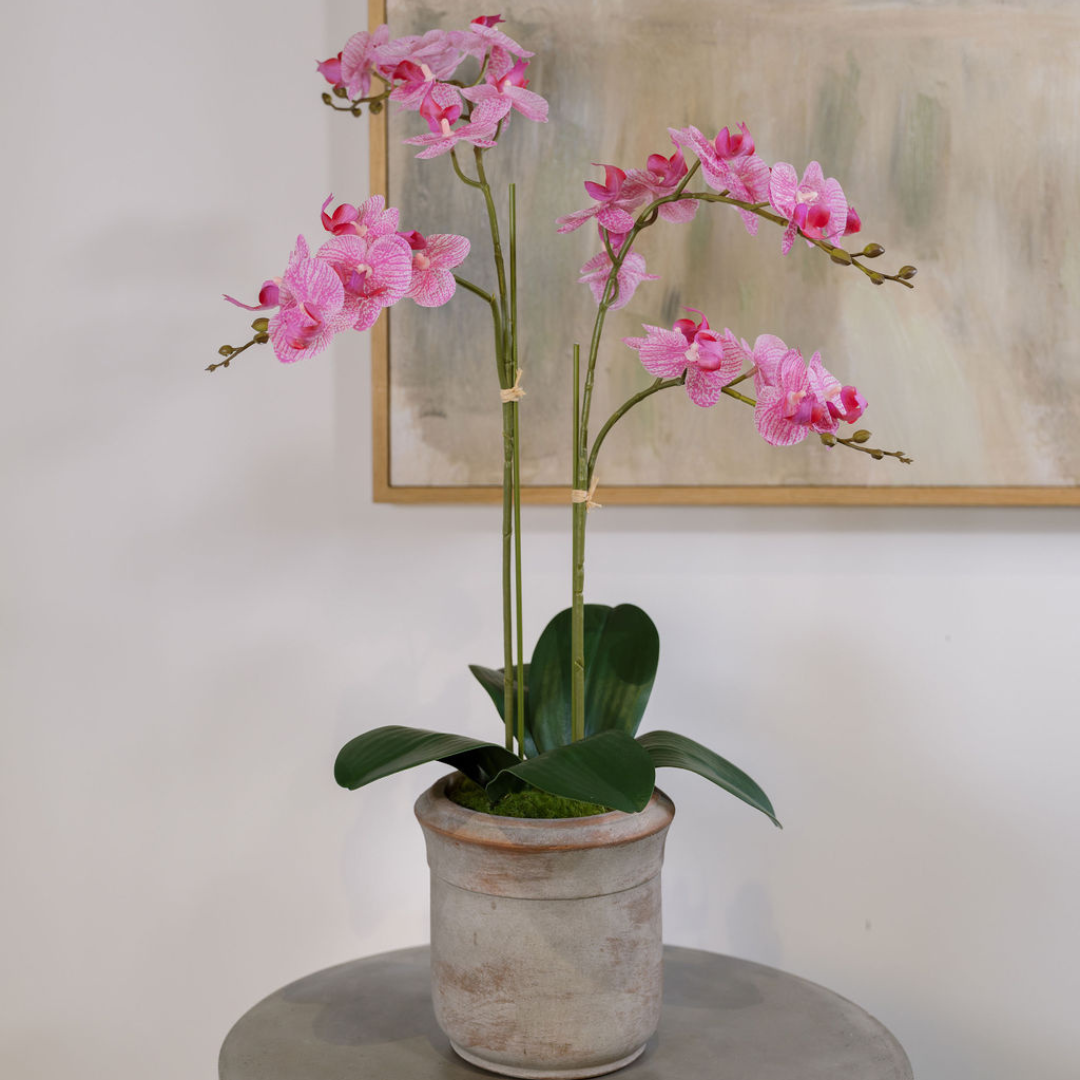 Artificial 2-Stem Phalaenopsis Pink Orchid