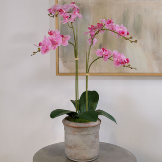 Stylish faux 2-stem Phalaenopsis pink orchid from CG Hunter, artfully arranged in a rustic ceramic pot, offering timeless elegance and a luxurious touch to any interior space.