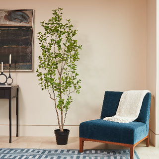 Elegant 7' Artificial Heart Ficus Tree by CG Hunter, showcased in a contemporary living room with a blue accent chair.