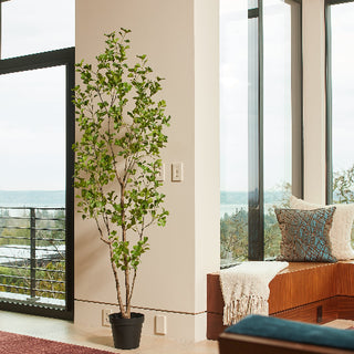 Elegant CG Hunter 7' Artificial Heart Leaf Ficus Tree in a stylish indoor setting near large windows, enhancing the modern decor.