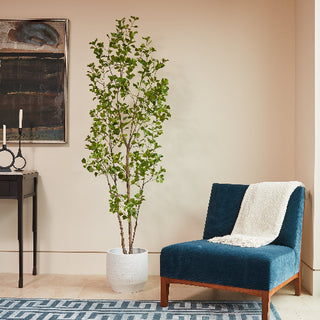 Stylish 7' Artificial Heart Ficus Tree by CG Hunter, featured in a modern space with a white planter beside a blue chair.