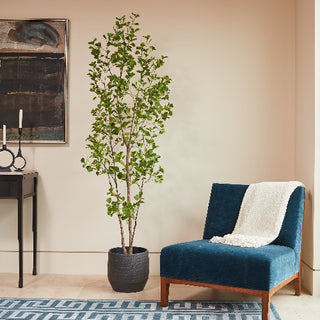 Sophisticated 7' Artificial Heart Ficus Tree by CG Hunter, positioned in a sleek black planter, enhancing a stylish living area with a blue chair.