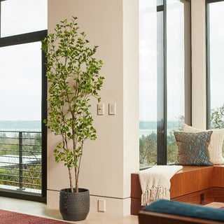 Chic CG Hunter 7' Artificial Heart Leaf Ficus Tree in a contemporary grey pot, adding an upscale touch to the living space.