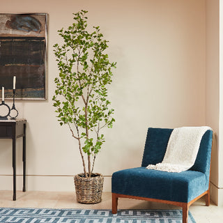 Chic 7' Artificial Heart Ficus Tree by CG Hunter, elegantly displayed in a natural wicker pot next to a blue chair.