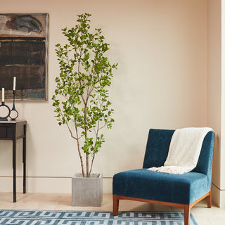 Modern 7' Artificial Heart Ficus Tree by CG Hunter, set in a contemporary concrete planter, complementing a luxurious blue chair in a refined setting.