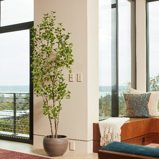 Stunning CG Hunter 7' Artificial Heart Leaf Ficus Tree displayed in a sleek pot, beautifully designed for luxury home interiors.