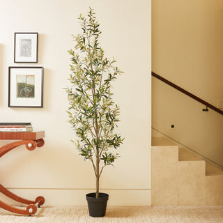 CG Hunter's 7' Artificial Slim Olive Tree elegantly displayed in a stylish interior, enhancing the space with luxurious greenery.