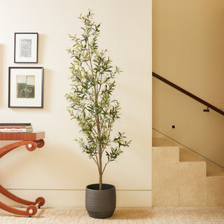 CG Hunter's 7' Artificial Slim Olive Tree displayed elegantly in a modern home setting, showcasing its lifelike branches and leaves in a stylish black pot.
