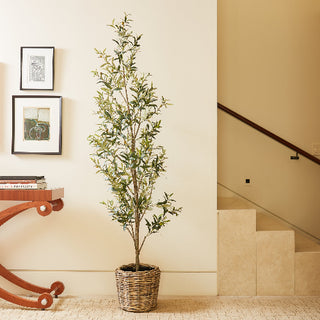 7' Slim Olive Tree by CG Hunter stands elegantly against a refined interior backdrop, artfully displayed in a French Rattan Basket, perfect for adding sophistication to your space.