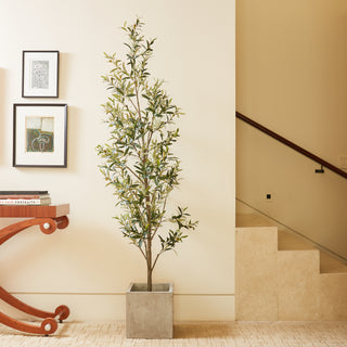 CG Hunter's 7' Artificial Slim Olive Tree featured in a sophisticated interior, beautifully arranged in a sleek concrete planter, perfect for enhancing compact spaces.
