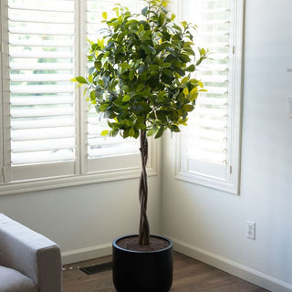 6' Artificial Laurel Tree