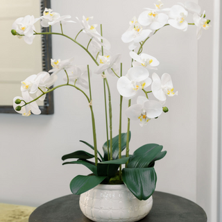 Luxury artificial 4-stem Phalaenopsis white orchid arrangement in a decorative pot, by CG Hunter, adding elegance to any home decor.