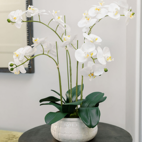 Artificial 4-Stem Phalaenopsis White Orchid