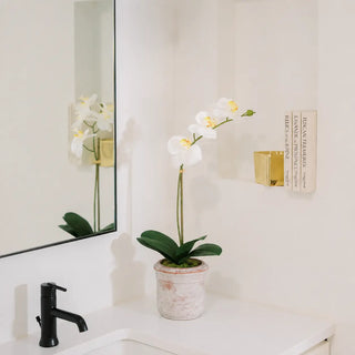 22" Artificial White Phalaenopsis Orchids, Set of 2