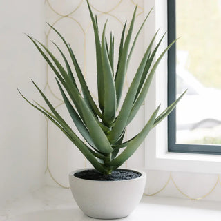 faux aloe vera plant 31.5" Artificial Agave Plant – CG Hunter