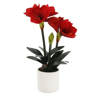 24" Red Amaryllis Arrangement in Pot