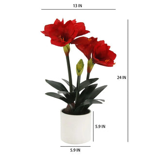 24" Red Amaryllis Arrangement in Pot