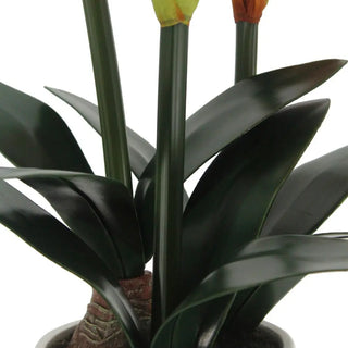 24" Red Amaryllis Arrangement in Pot
