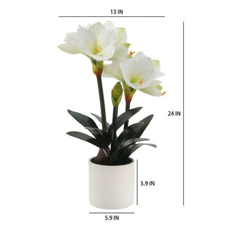 24" White Amaryllis Arrangement in Pot