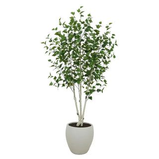 Potted plant with green leaves in a white pot on a white background