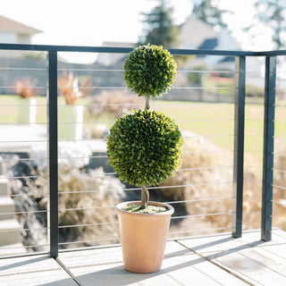 Potted topiary plant on a deck with a blurred outdoor background