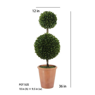 Potted topiary plant with dimensions labeled on a white background