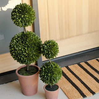 24" Artificial Boxwood Plant in Topiary Pot