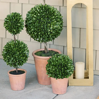Three potted topiary plants on a stone surface with a decorative lantern in the background.